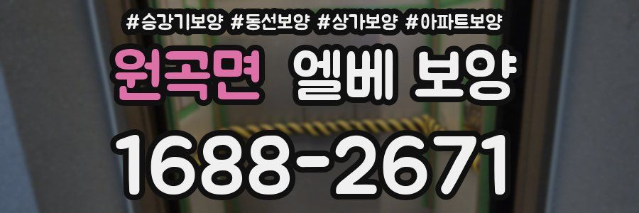 원곡면 엘베 보양