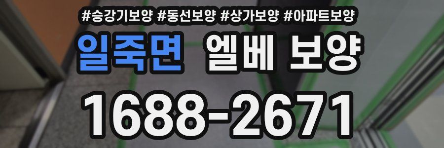 일죽면 엘베 보양