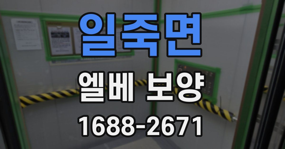 일죽면 엘베 보양
