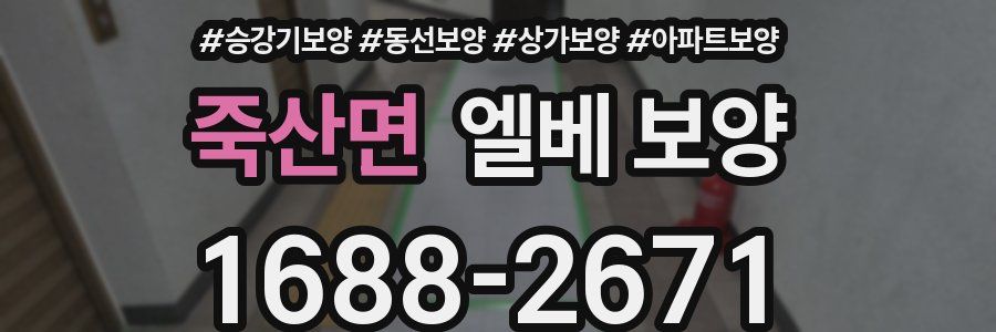 죽산면 엘베 보양