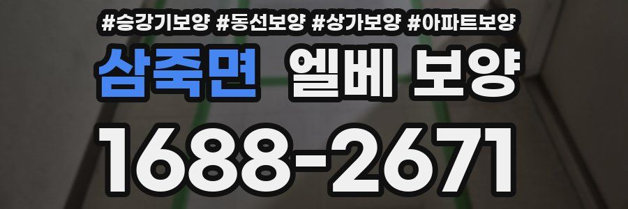 삼죽면 엘베 보양