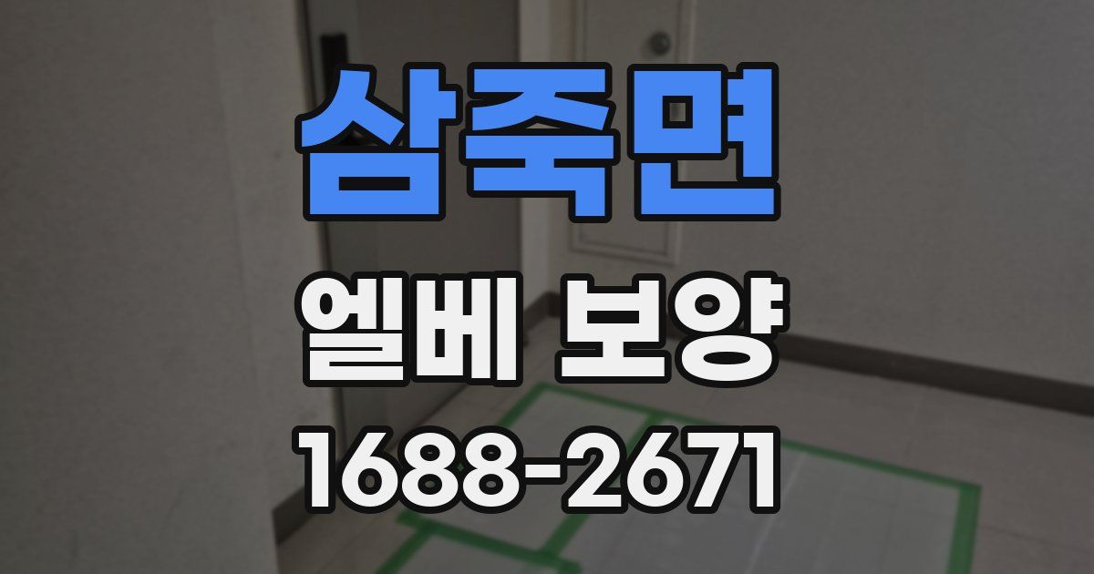 삼죽면 엘베 보양