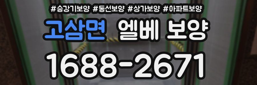 고삼면 엘베 보양