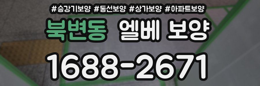 북변동 엘베 보양