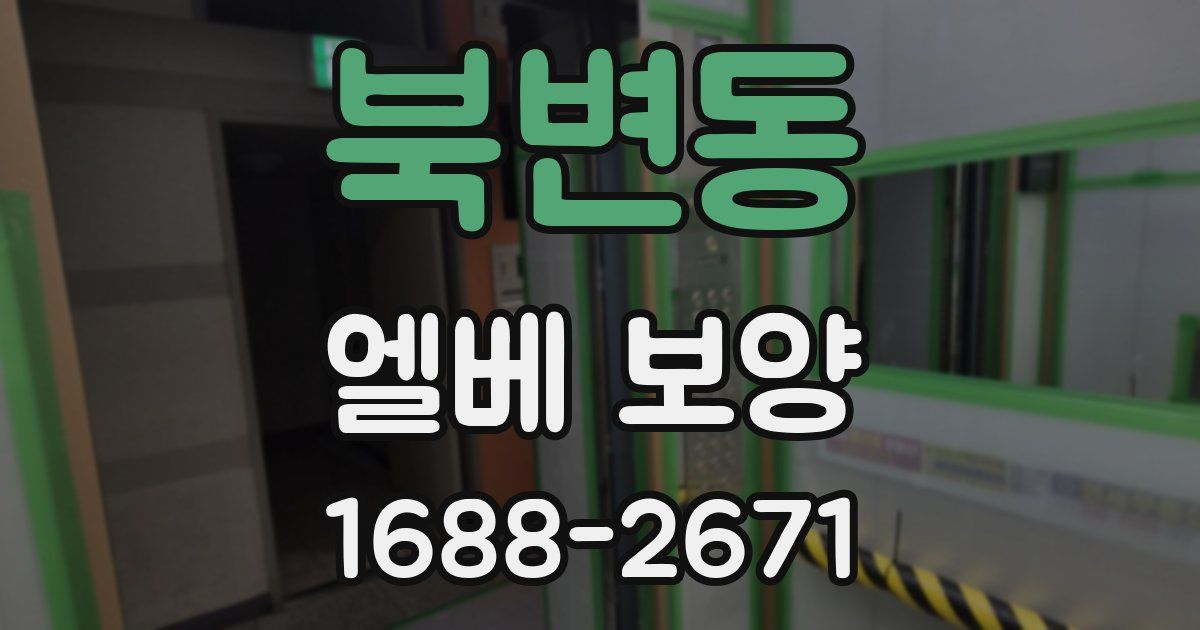 북변동 엘베 보양