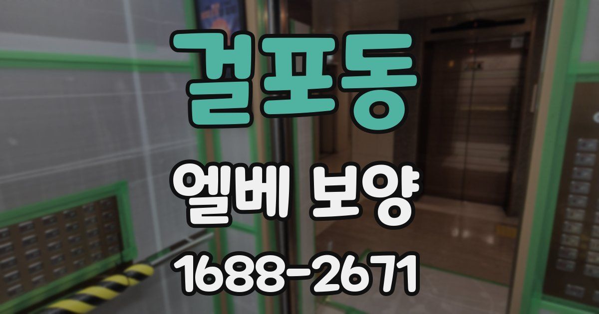 걸포동 엘베 보양