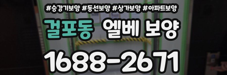 걸포동 엘베 보양