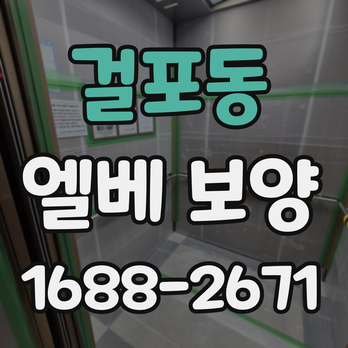 걸포동 엘베 보양