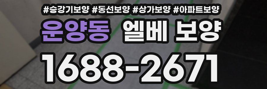 운양동 엘베 보양