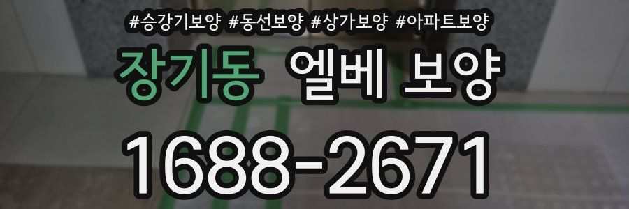 장기동 엘베 보양