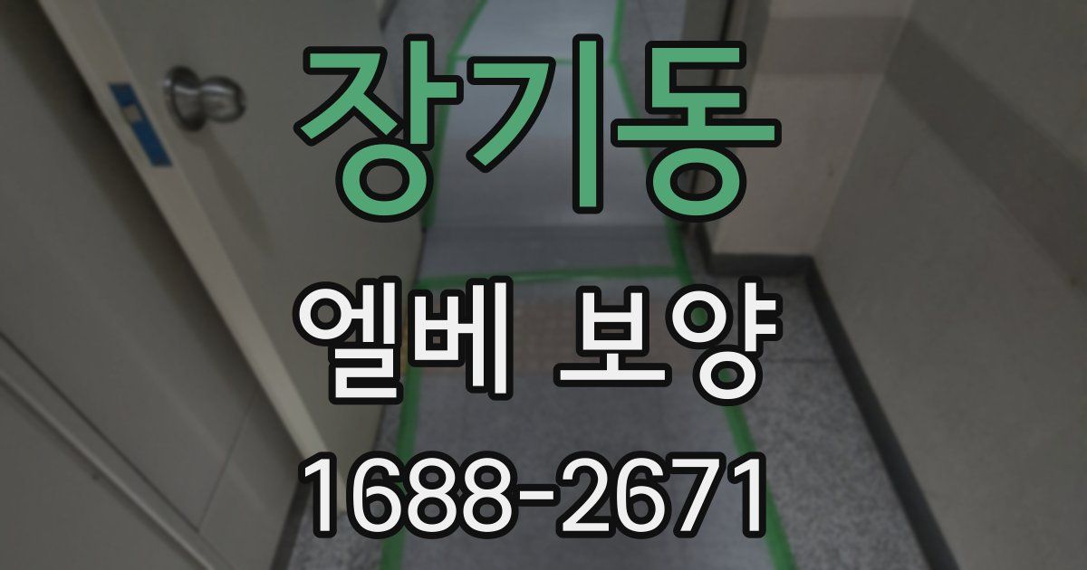 장기동 엘베 보양
