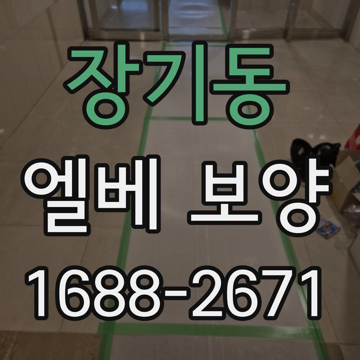 장기동 엘베 보양