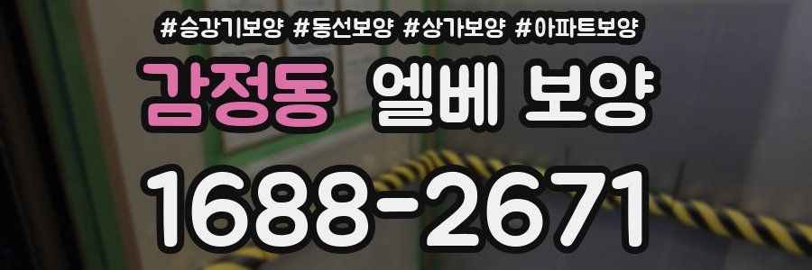 감정동 엘베 보양