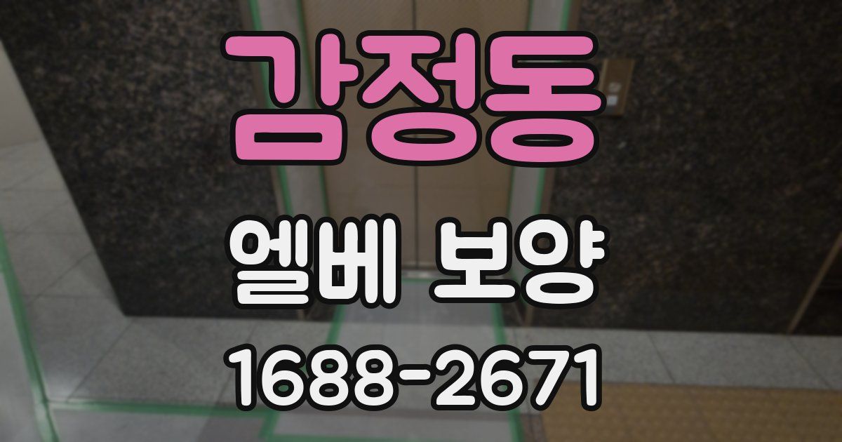 감정동 엘베 보양
