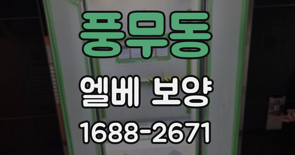 풍무동 엘베 보양