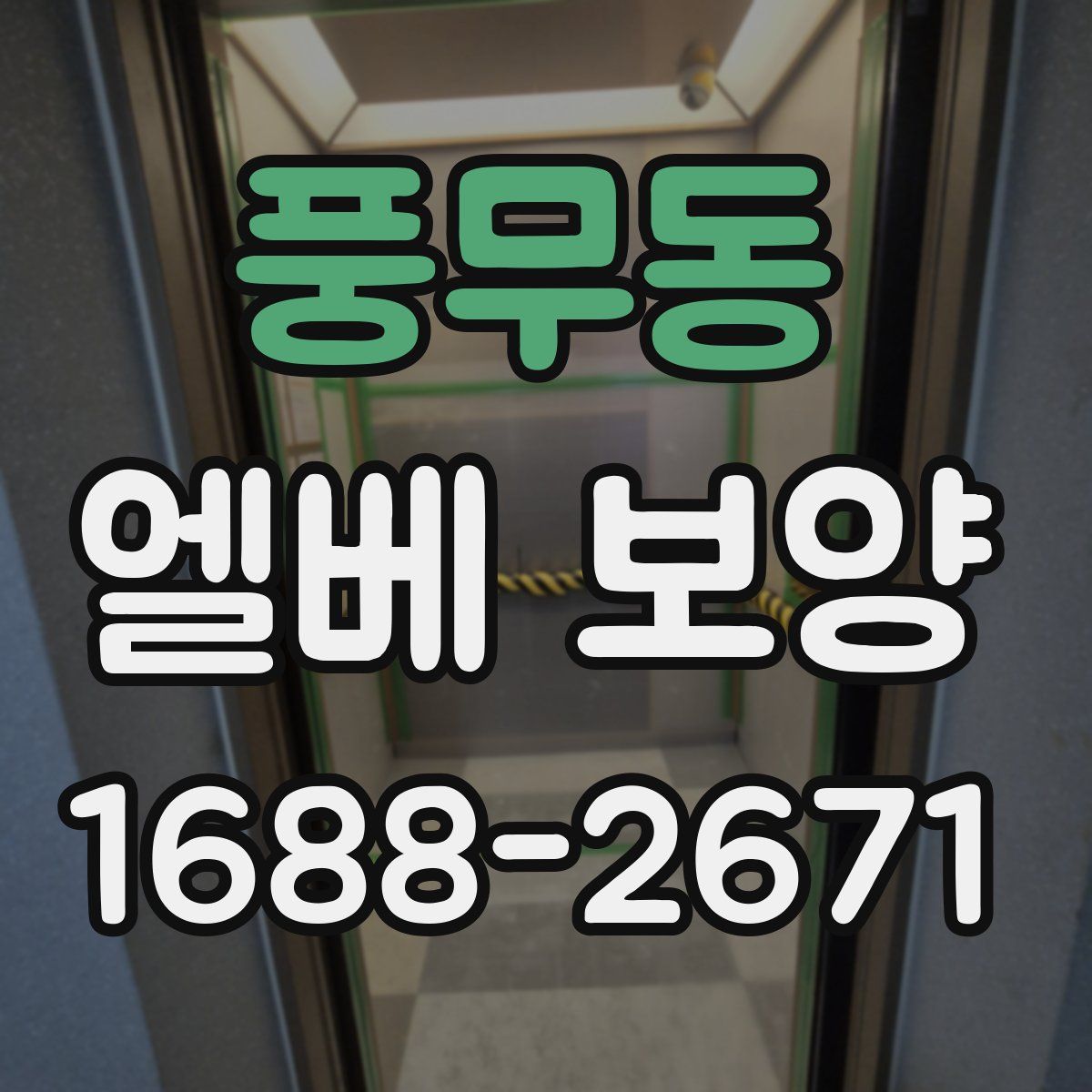 풍무동 엘베 보양
