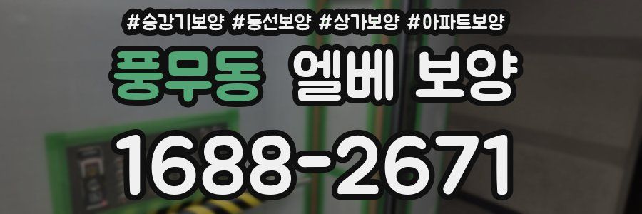 풍무동 엘베 보양