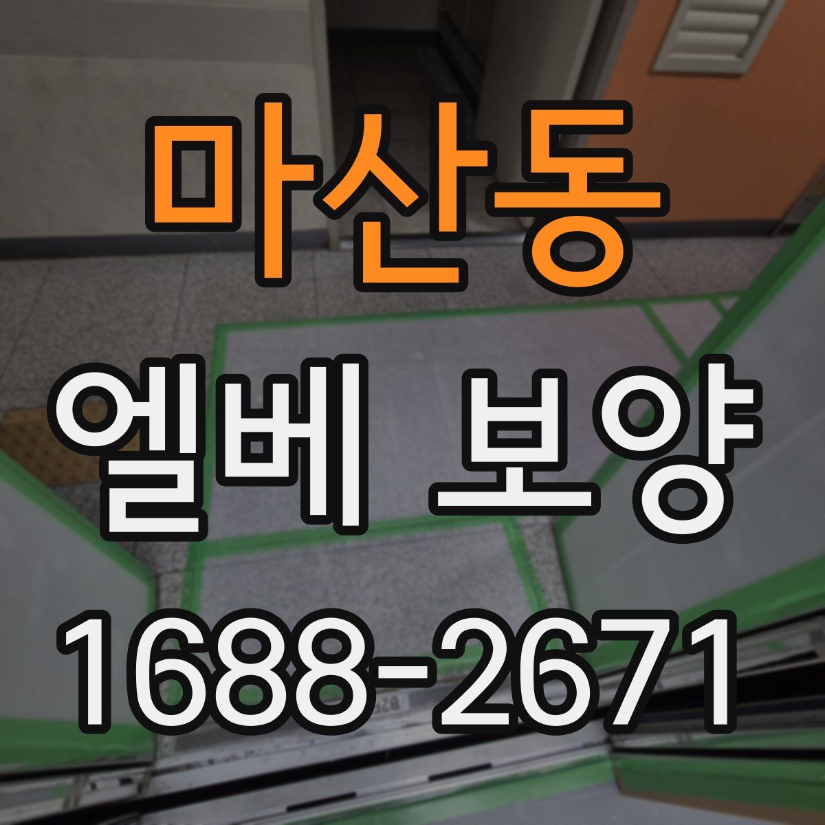 마산동 엘베 보양