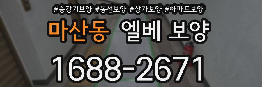 마산동 엘베 보양