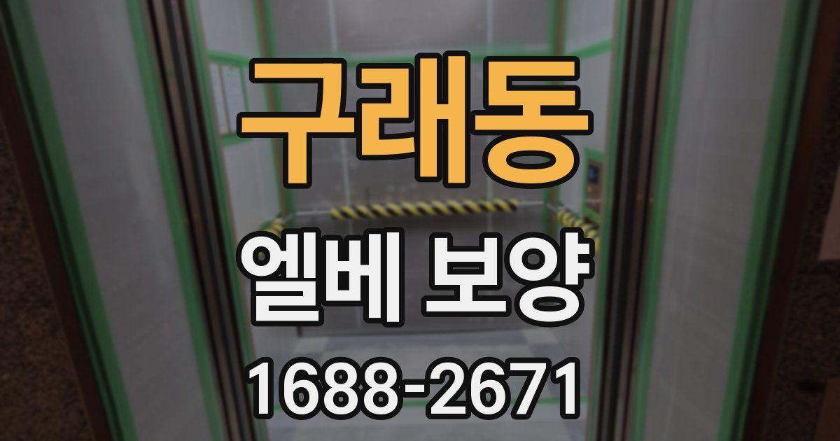 구래동 엘베 보양