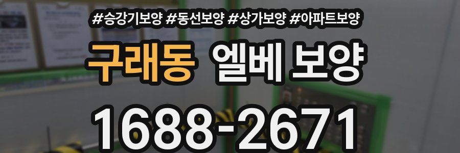 구래동 엘베 보양