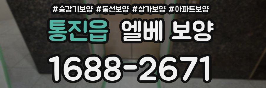 통진읍 엘베 보양
