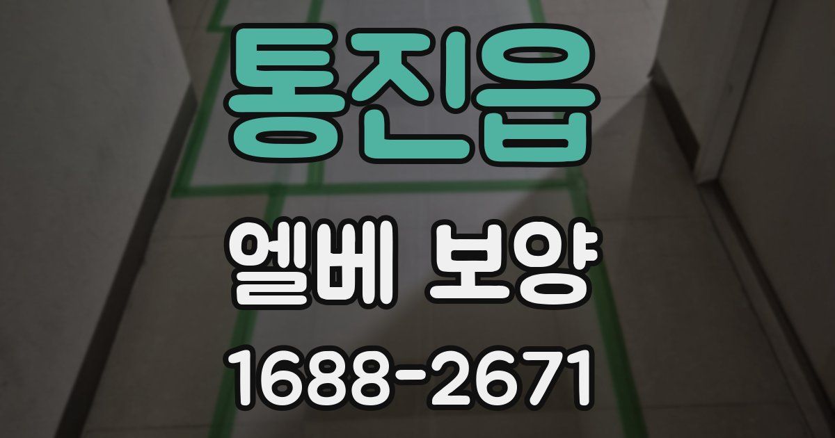 통진읍 엘베 보양