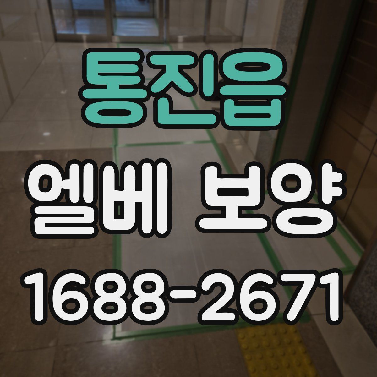 통진읍 엘베 보양
