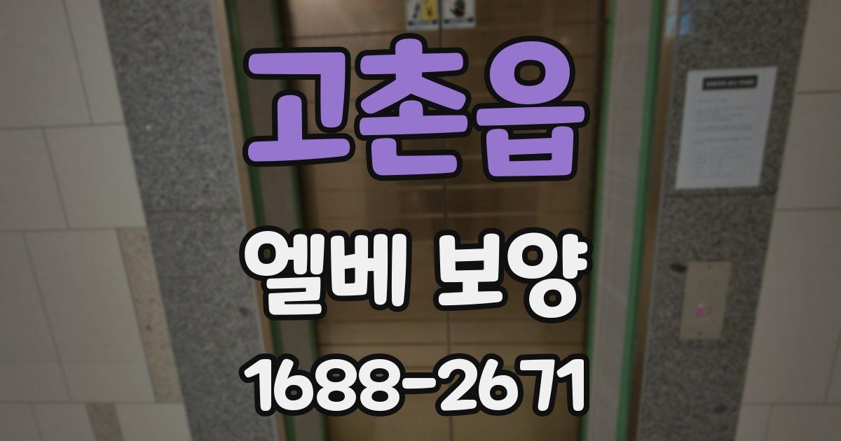 고촌읍 엘베 보양