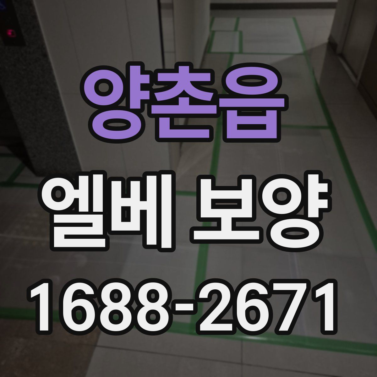 양촌읍 엘베 보양