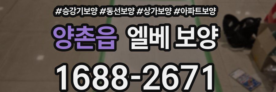 양촌읍 엘베 보양
