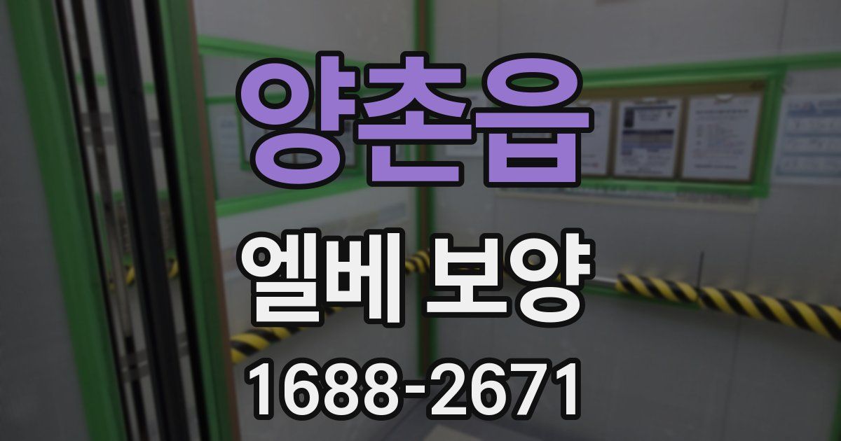 양촌읍 엘베 보양