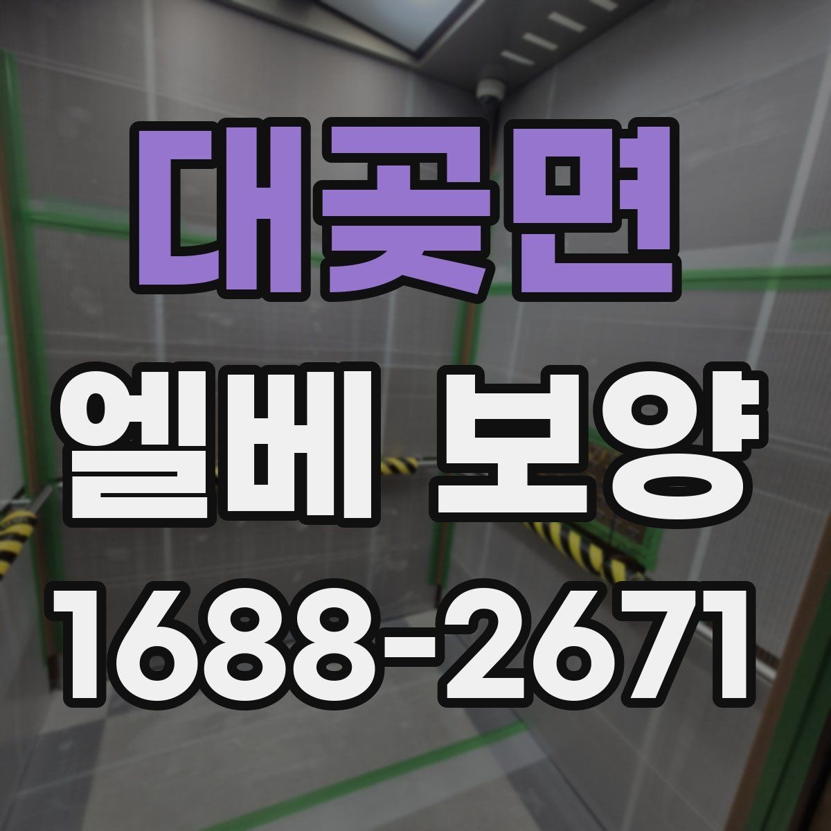 대곶면 엘베 보양 작업 전후 사진 기록을 남겨야 하는 순간