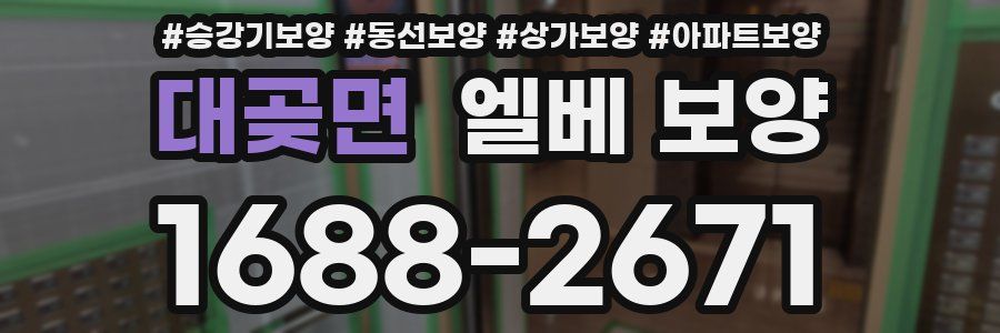 대곶면 엘베 보양
