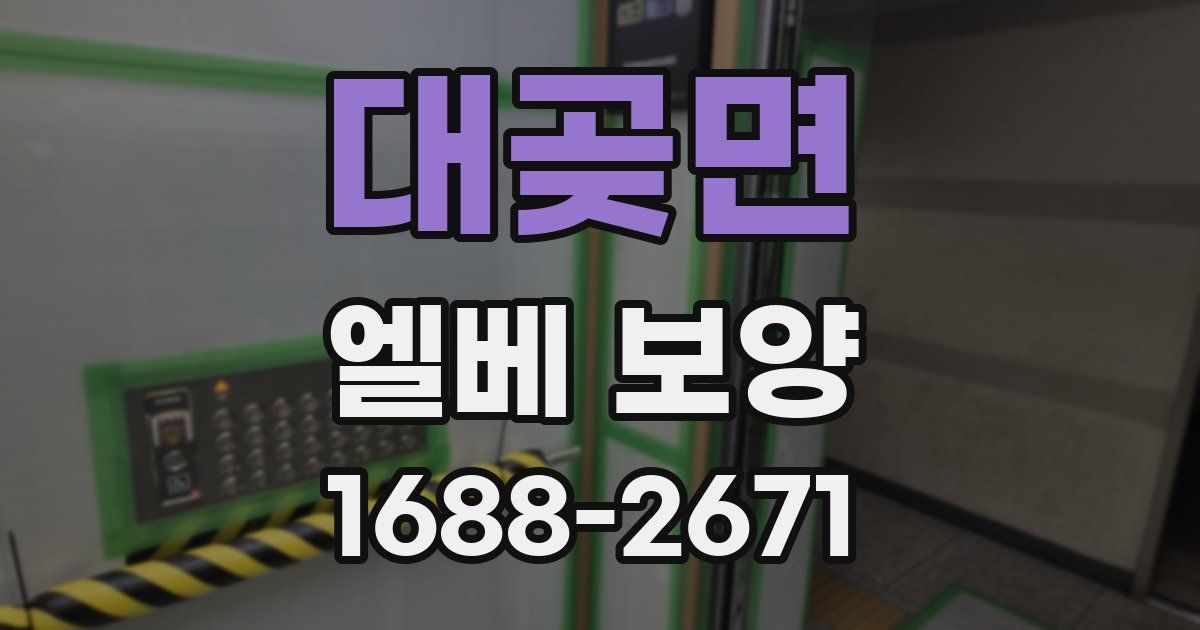 대곶면 엘베 보양