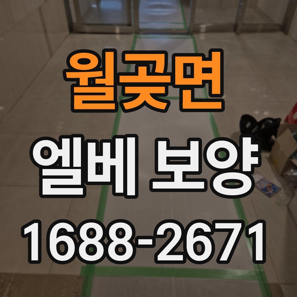 월곶면 엘베 보양 작업자 이동이 많은 현장에서 놓치기 쉬운 부분