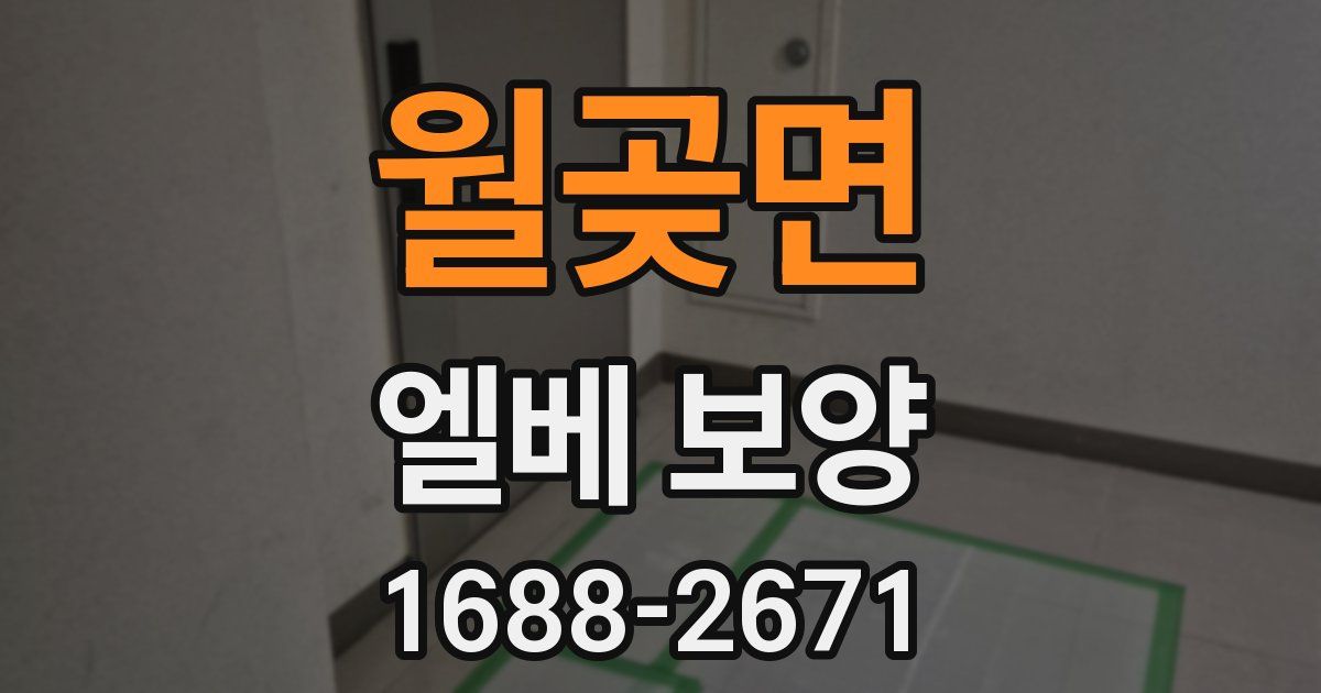 월곶면 엘베 보양