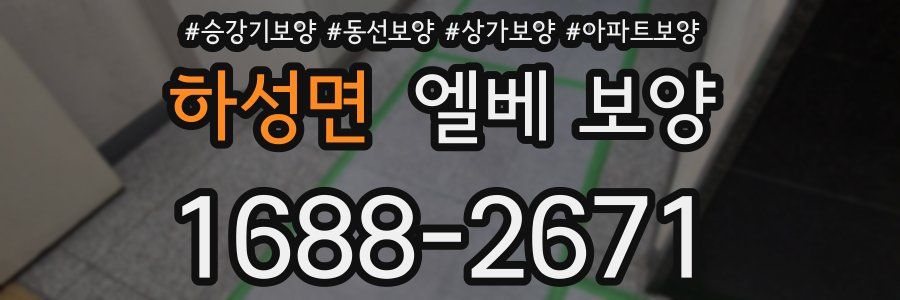 하성면 엘베 보양