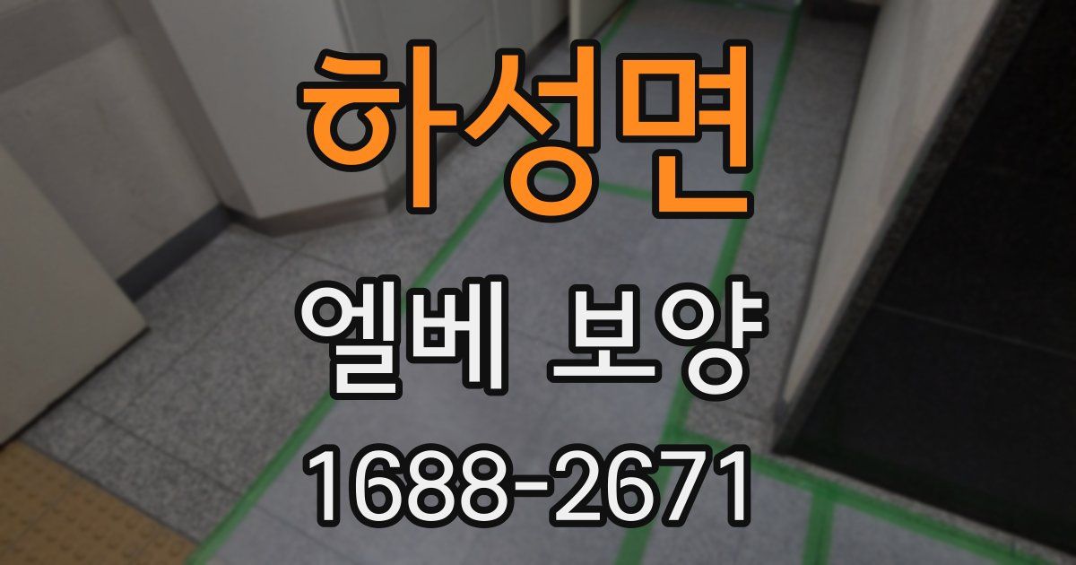 하성면 엘베 보양