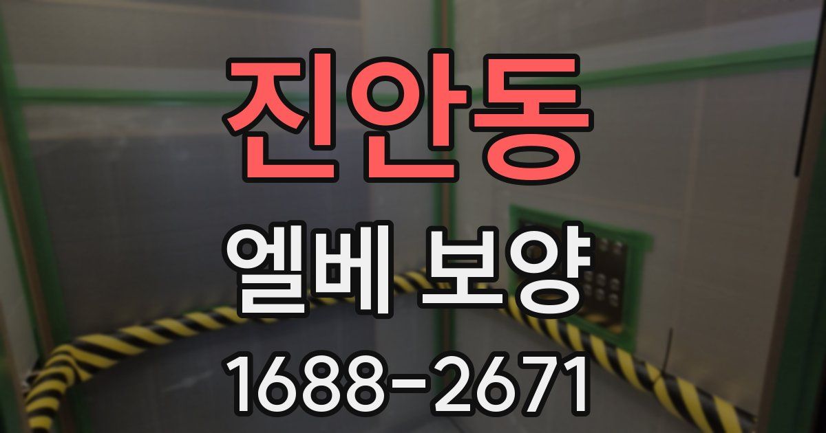 진안동 엘베 보양