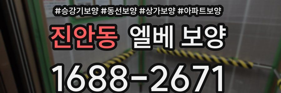 진안동 엘베 보양