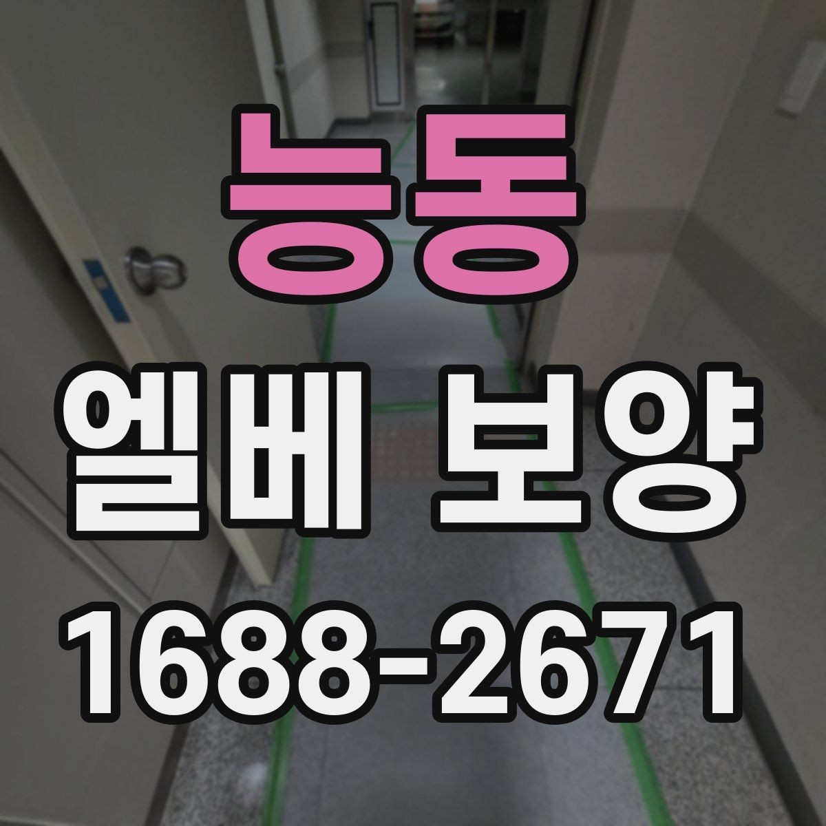 능동 엘베 보양 보양재 겹침 구간이 벌어지지 않게 하는 방법