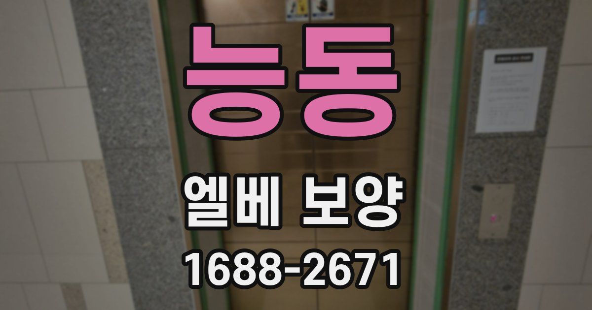 능동 엘베 보양