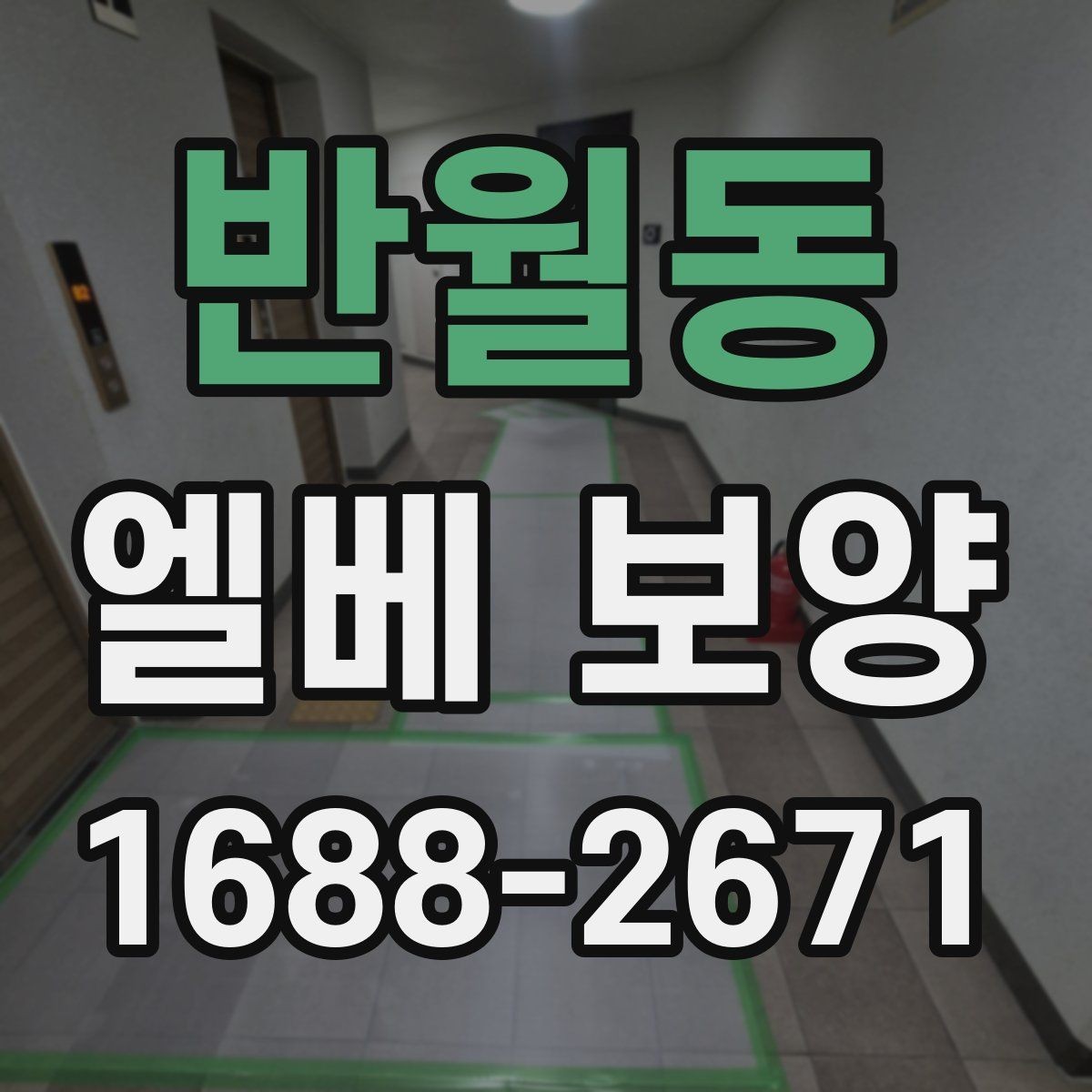 반월동 엘베 보양 문 주변 손상 방지를 위한 확인 항목