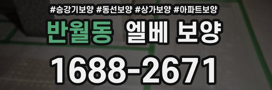 반월동 엘베 보양