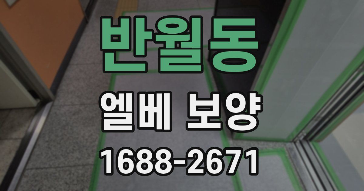 반월동 엘베 보양