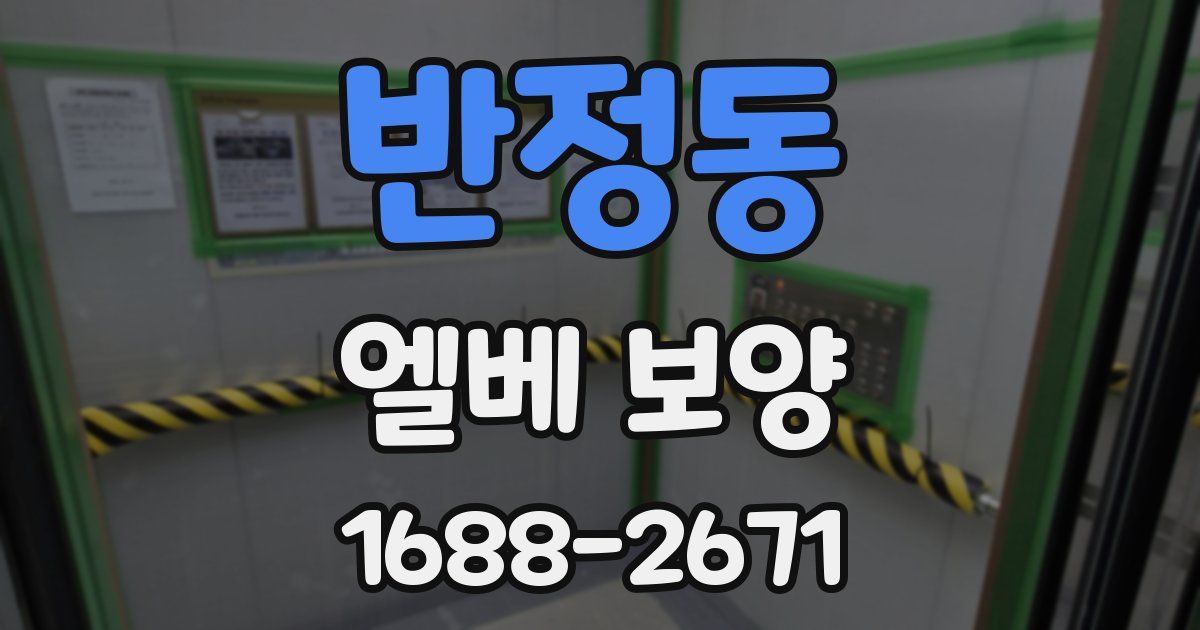 반정동 엘베 보양