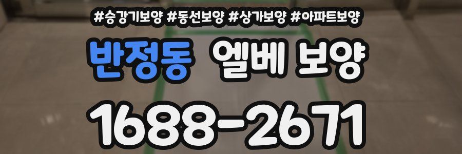 반정동 엘베 보양