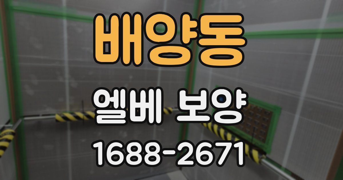 배양동 엘베 보양