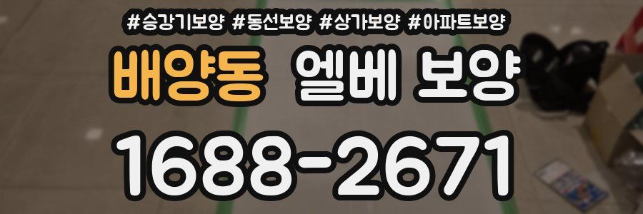 배양동 엘베 보양